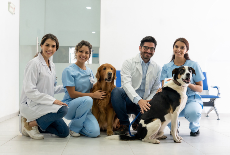 animal-hospital-payment-processing